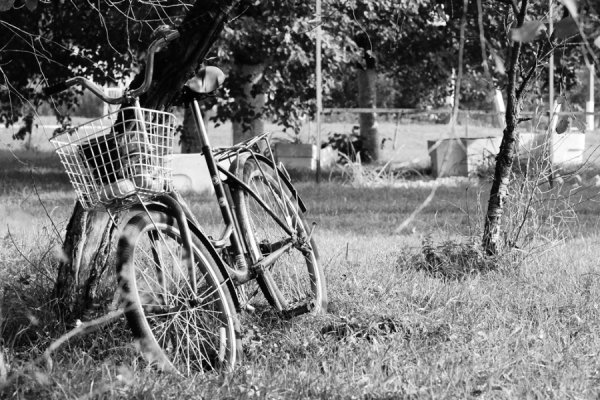 Фотовиставка Вікторії Величко